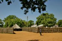 The Chief's Family Huts